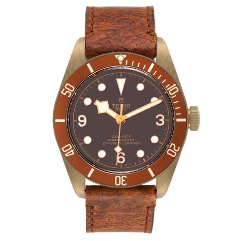 tudor bronze dial 79250